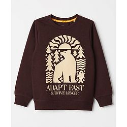 Pine Kids Cotton Mix Knit Sweatshirt with Full Sleeves and Bear Print - Brown