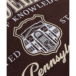 Pine Kids Cotton Mix Knit Sweatshirts With Full Sleeves and Philadelphia Text Print - Brown