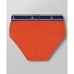 Pine Kids Cotton Elastane Knit Stripped Briefs with Airplane Print Pack of 3 - Blue Orange & Light Blue