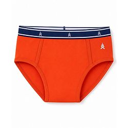 Pine Kids Cotton Elastane Knit Striped Briefs With Aeroplane Print Pack of 3 - Red & Blue