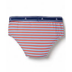 Pine Kids Cotton Elastane Knit Striped Briefs With Aeroplane Print Pack of 3 - Red & Blue