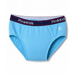 Pine Kids Cambric Knit Solid Brief Pack of 3 - Light Blue, Green & Black