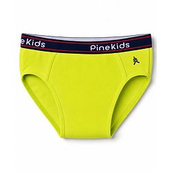 Pine Kids Cambric Knit Solid Brief Pack of 3 - Light Blue, Green & Black