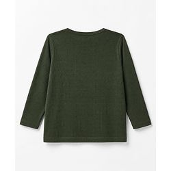 Pine Kids Knit Full Sleeves Solid Round Neck T-Shirt - Olive Green