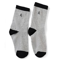 Pine Kids Cotton Mix Knit Socks With Pine Kids Text & Ankle Length Pack Of 5 In Blue