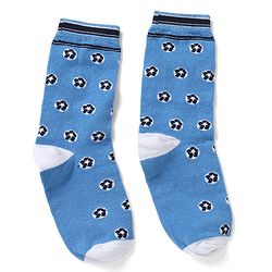 Pine Kids Cotton Mix Knit Calf Length Socks with Play & Cool Text Pack of 3 In Blue