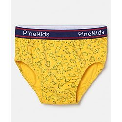 Pine Kids Cotton Elastane Knit Briefs with Dinosaur Print Pack of 3 - Mustard Red & Green