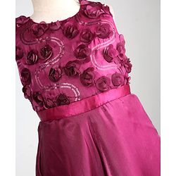 Pine Kids Organza Woven Sleeveless Party Dress With Floral Applique - Maroon