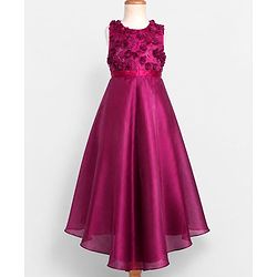 Pine Kids Organza Woven Sleeveless Party Dress With Floral Applique - Maroon
