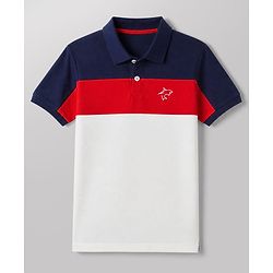 Pine Kids Cotton Knit Polo T-Shirt with Half Sleeves and Shark & Color Block Print - Maroon