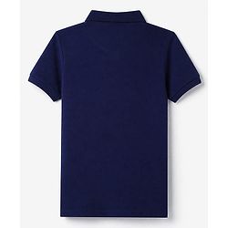 Pine Kids Cotton Knit Polo T-Shirt with Half Sleeves and Shark & Color Block Print - Maroon