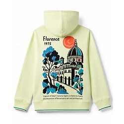 Pine Kids 100% Cotton Knit Hooded Sweatjacket with Full Sleeves and Cathedral Print in Light Green