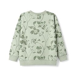 Pine Kids 100% Cotton Knit Sweatshirt with Full Sleeves and Start Something Print in Green for 4-5 Years