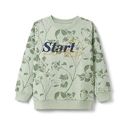 Pine Kids 100% Cotton Knit Sweatshirt with Full Sleeves and Start Something Print in Green for 4-5 Years
