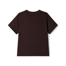 Pine Kids 100% Cotton Knit T-Shirts with Half Sleeves and Happy Camper Text Print - Dark Brown