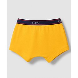 Pine Kids Cotton Knit Above Knee Length Solid Trunks Pack of 3