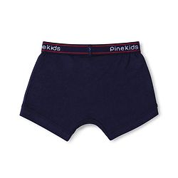 Pine Kids Cotton Knit Trunks with Stripe & Abstract Print Pack of 3 - Black & Blue