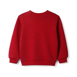 Pine Kids Cotton Mix Knit Sweatshirt with Full Sleeves and Butterfly Print in Red