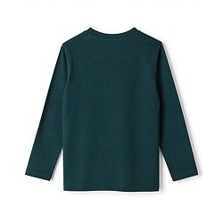 Pine Kids 100% Cotton Knit Full Sleeves T-Shirts with Take The Shot Print - Dark Green