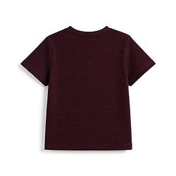 Pine Kids Cotton Ottoman Half Sleeves T-Shirt and Pant with Full Length and Smile Today Patch - Wine