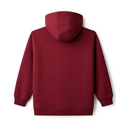 Pine Kids Fleece Knit Full Sleeves Hooded Winter Wear Suit With Text Print - Red