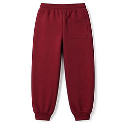 Pine Kids Fleece Knit Full Sleeves Hooded Winter Wear Suit With Text Print - Red