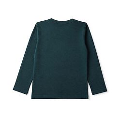 Pine Kids 100% Cotton Knit T-Shirts with Full Sleeves and Dinosaurs Print - Dark Green