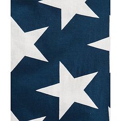 Pine Kids Full Sleeves Night Suit Star Print - Navy Blue