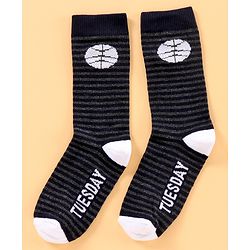 Pine Kids Mid Calf Length Anti-Microbial Socks Pack Of 6 - Blue Grey
