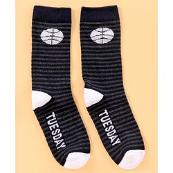 Pine Kids Mid Calf Length Anti-Microbial Socks Pack Of 6 - Blue Grey