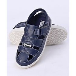 Pine Kids Velcro Closure Sandals - Brown