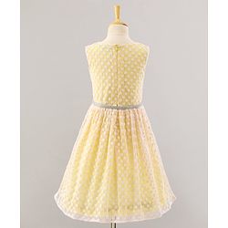 Pine Kids Sleeveless Frock with Nylon Mesh Embroidery All Over - Yellow