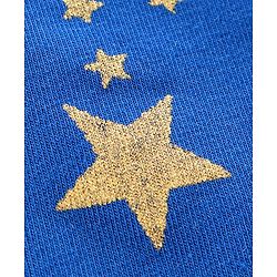 Pine Kids Mid Calf Anti Microbial Leggings Star Print - Blue
