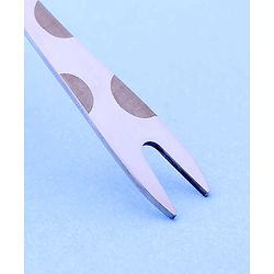 Pine Kids Stainless Steel Fruit Fork Pack of 4 - Length 12.5 cm Each