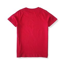 Pine Kids Half Sleeves Biowashed 100% Cotton T-shirt - Multicolour