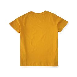 Pine Kids Half Sleeves Biowashed 100% Cotton T-shirt - Multicolour