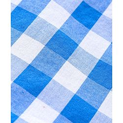 Pine Kids Party Wear Softner Wash Full Sleeves Checks Shirt With Tie - Blue White