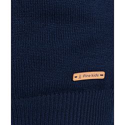 Pine Kids Full Sleeves Sweaters with Cable Knit - Blue