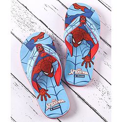 Pine Kids Flip Flops Spider Man Print - Blue