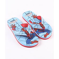 Pine Kids Flip Flops Spider Man Print - Blue