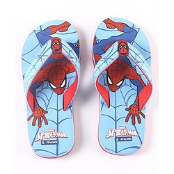 Pine Kids Flip Flops Spider Man Print - Blue
