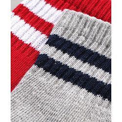 Pine Kids Anti Microbial Ankle Length Socks Pack of 5 - Multicolor