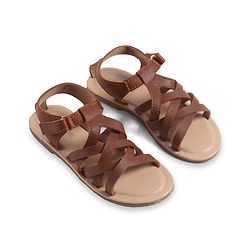 Pine Kids Sandals With Velcro Closure - Brown